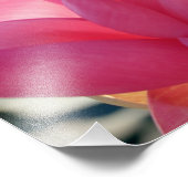 Lotus-Blume [Nelumbo-Speziosum] Fotodruck (Ecke)