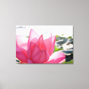Lotus-Blume [Nelumbo-Speziosum] Leinwanddruck