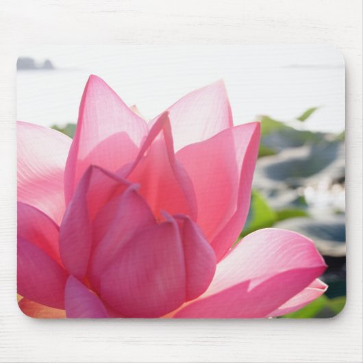 Lotus-Blume [Nelumbo-Speziosum] Mousepad (Vorne)