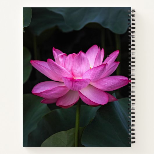 Lotus Blume Notizblock (Rückseite)