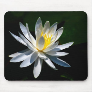Lotus-Blume oder -Wasserlilie Mousepad