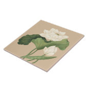 Lotus Blume Ostindien Botanische Kunst Fliese (Seite)