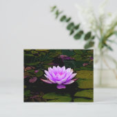 Lotus Blume Pink Grüner Blumenteich Zen Postkarte (Stehend Vorderseite)