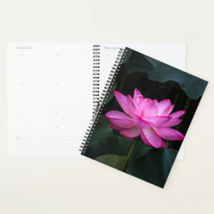 Lotus Blume Planer