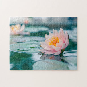 Lotus Blume Pond Puzzle