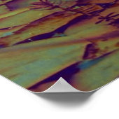 Lotus Blume Poster (Ecke)