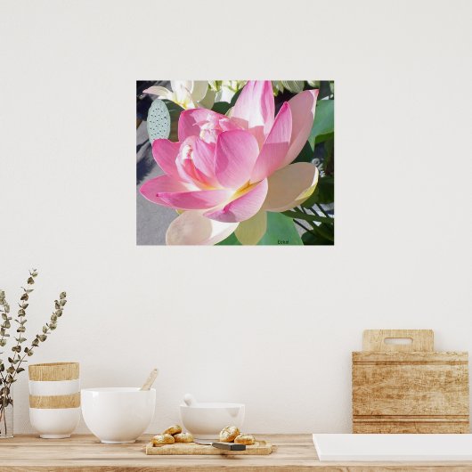 Lotus Blume Poster (Küche)