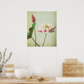 Lotus Blume Poster (Küche)