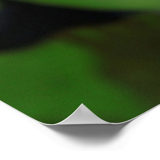 Lotus Blume Poster (Ecke)