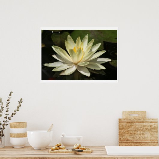 Lotus Blume Poster (Küche)