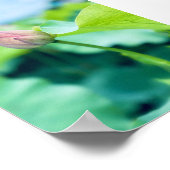 Lotus Blume Poster (Ecke)