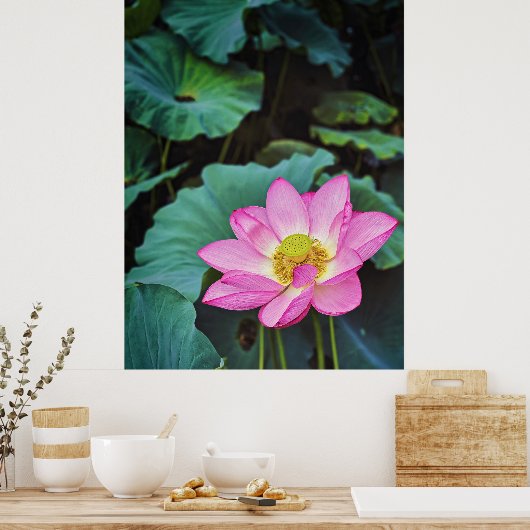 Lotus Blume Poster (Küche)