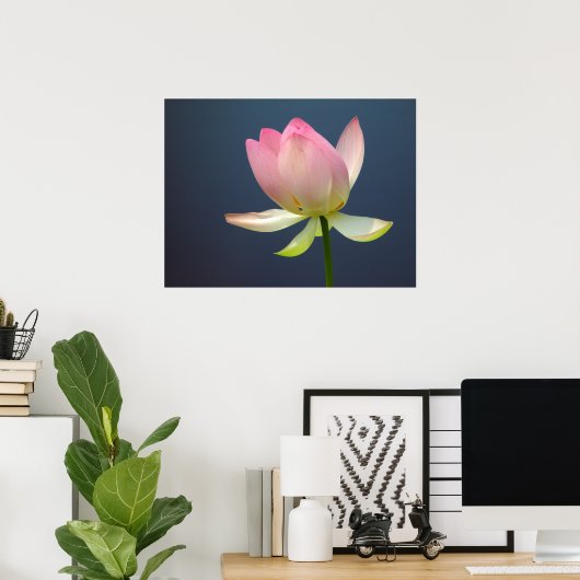 Lotus Blume Poster (Heimbüro)