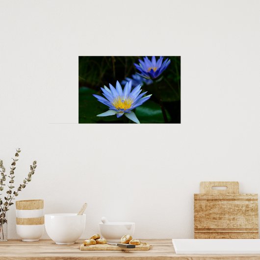Lotus-Blume Poster (Küche)
