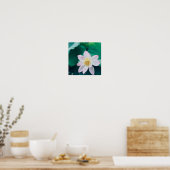 Lotus Blume Poster (Küche)