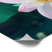 Lotus Blume Poster (Ecke)