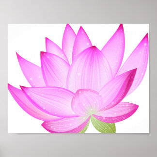 Lotus Blume Poster