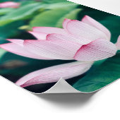 Lotus Blume Poster (Ecke)