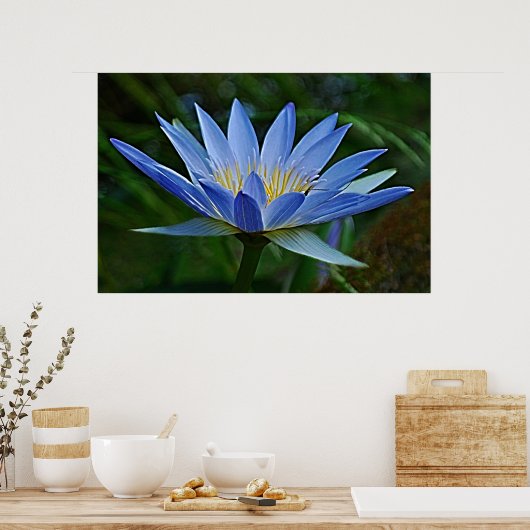 Lotus-Blume Poster (Küche)