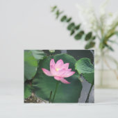 Lotus Blume Postkarte (Stehend Vorderseite)