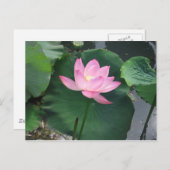 Lotus Blume Postkarte (Vorne/Hinten)
