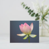 Lotus Blume Postkarte (Stehend Vorderseite)