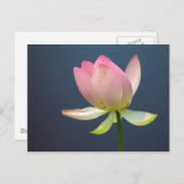Lotus Blume Postkarte (Vorne/Hinten)