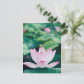 Lotus Blume Postkarte (Stehend Vorderseite)