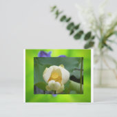 Lotus Blume Postkarte (Stehend Vorderseite)