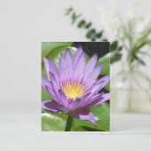 Lotus Blume Postkarte (Stehend Vorderseite)