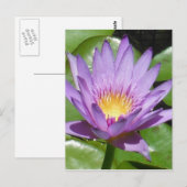 Lotus Blume Postkarte (Vorne/Hinten)