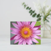 Lotus-Blume Postkarte (Stehend Vorderseite)