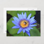 Lotus Blume Postkarte (Vorne/Hinten)