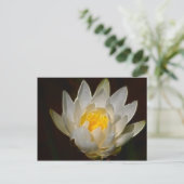 Lotus-Blume Postkarte (Stehend Vorderseite)