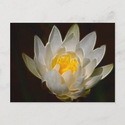 Lotus-Blume Postkarte (Vorderseite)