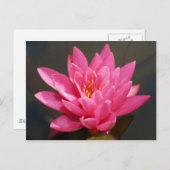 Lotus-Blume Postkarte (Vorne/Hinten)