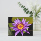 Lotus-Blume Postkarte (Stehend Vorderseite)
