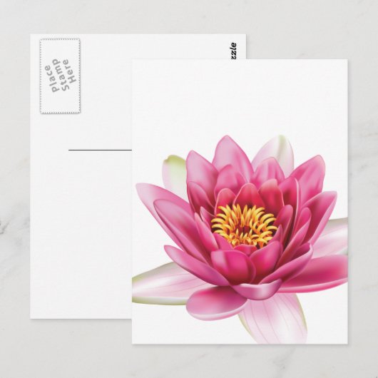 Lotus Blume Postkarte (Vorne/Hinten)