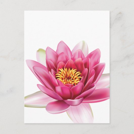 Lotus Blume Postkarte (Vorderseite)