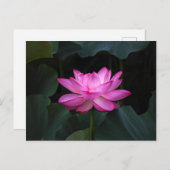 Lotus Blume Postkarte (Vorne/Hinten)