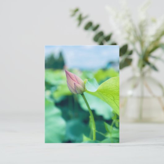 Lotus Blume Postkarte (Stehend Vorderseite)