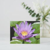 Lotus Blume Postkarte (Stehend Vorderseite)