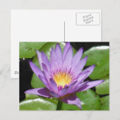 Lotus Blume Postkarte (Vorne/Hinten)