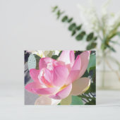 Lotus Blume Postkarte (Stehend Vorderseite)