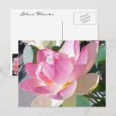 Lotus Blume Postkarte (Vorne/Hinten)