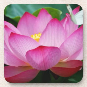 Lotus Blume & Schmetterling Plastische Untersetzer