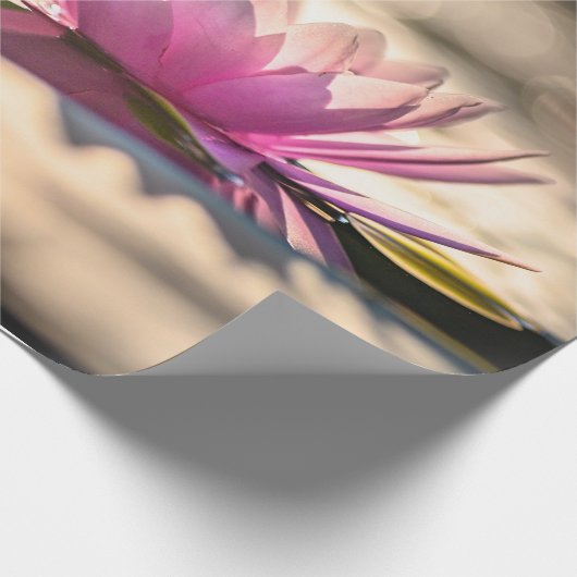 Lotus Blume, See, Zen Geschenkpapier (Ecke)