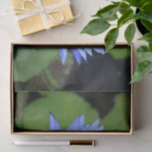 Lotus Blume Seidenpapier (Geschenk)