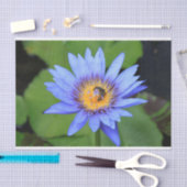 Lotus Blume Seidenpapier (Handwerk)