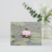 Lotus Blume Soft Pink Floral Pond Zen Postkarte (Stehend Vorderseite)